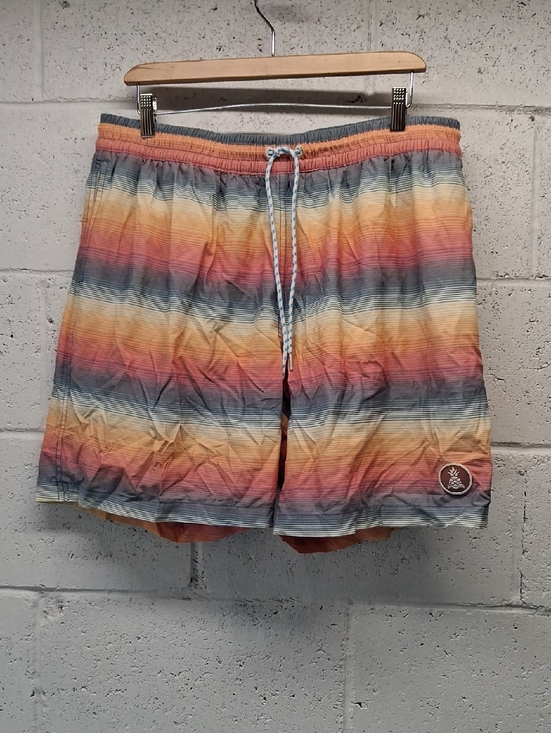 chubbies Other - NWOT Mens Chubbies Multicolor Sunset Stripe Swim Trunks